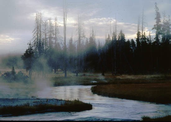 Winding Stream - Yellowstone National Park, WY
