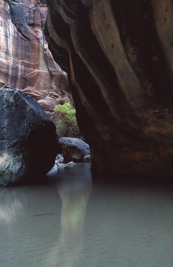 Zion Narrows - Zion, UT