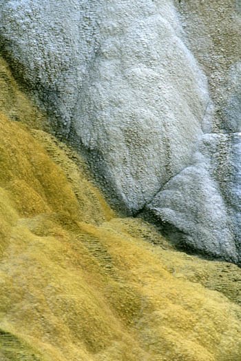 Mineral Springs Yellowstone